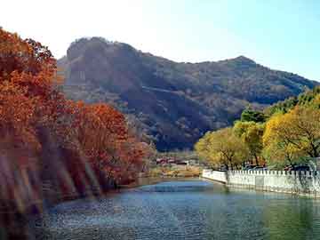 管家婆黑白马报图库，otoo